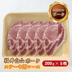 yӂ邳Ɣ[Łz䔒R|[N Xe[Lp[X 200g×5 /   Y  zO  ؓ ؃eL geL (18209j