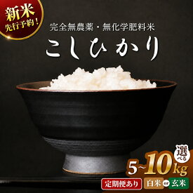 【ふるさと納税】〈令和8年産〉新米 先行予約 無農薬米5kg・10kg・定期便あり　玄米/白米選択可【こしひかり】/ 送料無料 福井県 越前市 米 コシヒカリ 無農薬 2026年度産 新米 予約販売 12か月（18209）