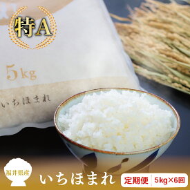 【ふるさと納税】【定期便6回】福井県産いちほまれ 5kg×6回【令和5年度】/ 送料無料 福井県 越前市 米 いちほまれ 2023年 令和5年度産 6ヶ月 新生活(18209)