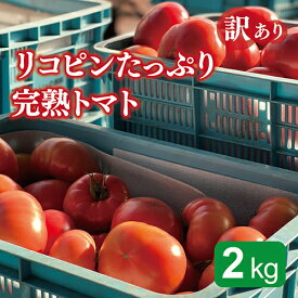 【ふるさと納税】リコピンたっぷり完熟トマト 訳あり 2kg 送料無料 福井県 越前市 とまと 野菜（18209）