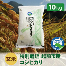 【ふるさと納税】【令和5年度・新米】特別栽培 越前市産コシヒカリ 10kg・玄米 / 送料無料 福井県 越前市 米 コシヒカリ 減農薬 新生活(18209)