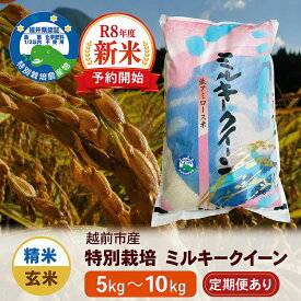 【ふるさと納税】先行予約価格＼受付開始／【令和8年度・新米】特別栽培 越前市産ミルキークイーン/ 5kg・10kg /精米・玄米/ 送料無料 福井県 越前市 米 ミルキークイーン 減農薬 無農薬 特別栽培米 武生 タケフ 新生活(18209)