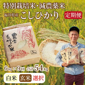 【ふるさと納税】〈先行予約〉【定期便6回】令和6年 新米 福井県産 減農薬米 こしひかり 9kg（玄米・白米選択可）/ 送料無料 福井県 越前市 米 コシヒカリ 減農薬 2024年度産（18209）