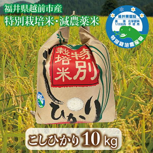 yӂ邳Ɣ[ŁzVāuЂv ߘa7NxY 䌧zOsY ʍ͔| 10kg/  䌧 zOs  Ђ _ 2025NxY V(18209)