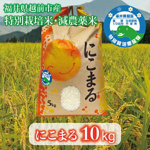 yӂ邳Ɣ[ŁzVāuɂ܂v10kg ߘa7NxY 䌧zOsY 䌧ʍ͔|/  䌧 zOs  jR} _ 2025NxY V(18209)