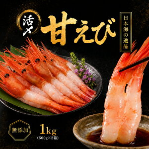�ԗ�i�摜