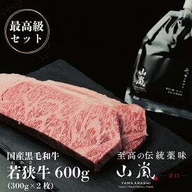 【ふるさと納税】若狭牛600gと山嵐 辛口 最高級セット 冷蔵（さんきち精肉店・テラオライテック） / 送料無料 福井 越前市 肉 ステーキ 薬味 調味料 セット 和牛 伝統薬味 焼肉 アウトドア キャンプ バーベキュー(18209)