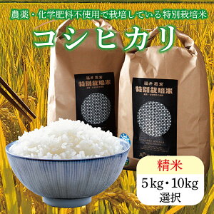 yӂ邳Ɣ[Łzߘa7Nx V ʍ͔|ăRVqJ /  䌧 zOs  RVqJ _sgp (18209)