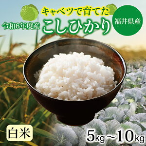 yӂ邳Ɣ[Łzߘa6N 䌧Y LxRVqJ 5kgE10kg@/  䌧 zOs  RVqJ Lxc엿@Ђi18209j