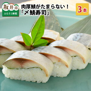 yӂ邳Ɣ[ŁzI܂ȂI uYIiv 3{ 1{ 290g `ƑԎyY`y W[V[ To ߎI i obe  Ђ  Mtg yY l