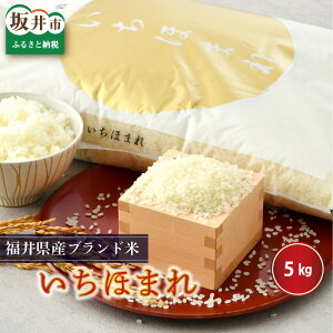 yӂ邳Ɣ[Łzyߘa6NYz  5kg 񂳂rڂ͂ 䌧Y ق܂