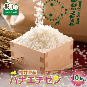 yӂ邳Ɣ[Łzyߘa7NYEVāz񂳂rڂ 䌧Y niG`[ 10kg