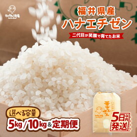 【ふるさと納税】【令和7年産】福井県産 ハナエチゼン 5kg / 10kg 【選べる内容量・精米方法・配送回数】 〜坂井市三国町産・こだわりの精米対応〜 【 米 お米 定期便 6ヶ月 12ヶ月 無洗米 玄米 白米 5キロ 10キロ ふるさと納税米 産地直送】