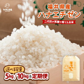 【ふるさと納税】【令和7年産・新米】福井県産 ハナエチゼン 5kg / 10kg 【選べる内容量・精米方法・配送回数】 〜坂井市三国町産・こだわりの精米対応〜 【 米 お米 定期便 6ヶ月 12ヶ月 無洗米 玄米 白米 5キロ 10キロ ふるさと納税米 産地直送】