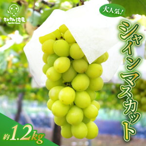 yӂ邳Ɣ[Łzys\z lCVC}XJbg 1.2kg (3`4[) y2025N9{ȍ~\z yԂǂ uhE  }XJbg ʕ fU[g t[c Yn Y Mtg