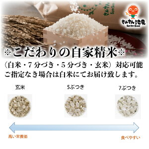 アイテムID:291102の画像1枚目
