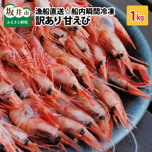 yӂ邳Ɣ[Łz 󂠂  ]4.84 Â 1kg DDuԗⓀyCV  Gr A}Gr ܂ ÊCV kt L H hg Ⓚ  L Yn sY 