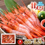 高評価★4.89 海の上で食べる味！漁船直送☆船内瞬間冷凍 プレミアム甘えび約400g～1.3kg (国産) 【甘エビ 海老 えび エビ アマエビ あまえび 甘海老 殻付き 有頭 生食 刺身 冷凍 魚介類 魚貝類 産地直送 国産 三国 人気】