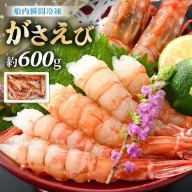 【ふるさと納税】【発泡箱入り】漁船直送☆船内瞬間冷凍 がさえび 約600g 【希少 海老 えび エビ ガサエビ ガラエビ がらえび ザコエビ ブルエビ ガマエビ ガスエビ がすえび 越前えび 殻付き 有頭 生食 刺身 魚介類 魚貝類 産地直送 国産】