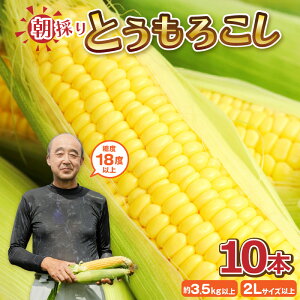 yӂ邳Ɣ[Łzys\z Ƃ낱 10{ (1{F2LTCYȏ 370g`450g) wÂx낱̒Ƃ낱 `̓x18xȏI` (킭킭R[) y2026N6