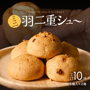 ふるさと納税「シュークリーム」の人気返礼品・お礼品比較 - 価格.com