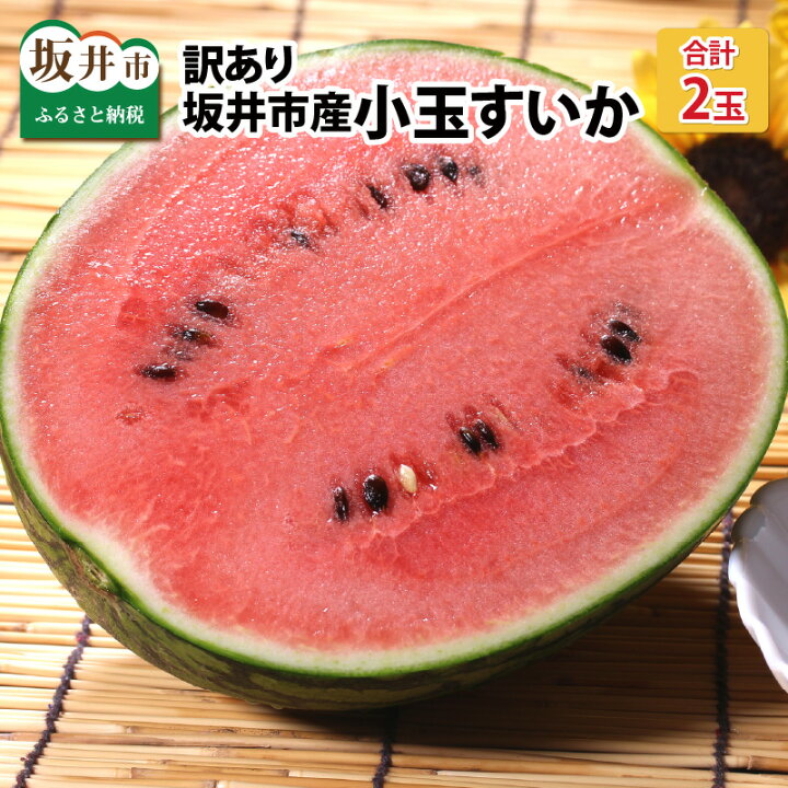 楽天市場 ふるさと納税 先行予約 訳あり 小玉すいか 2玉 坂井市産 22年7月発送予定 スイカ 不揃い 福井県坂井市