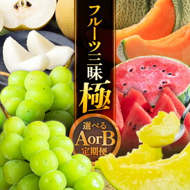 【ふるさと納税】【先行予約】定期便 坂井市フルーツ三昧！！「極」 【選べる定期便の種類：A / B】 【2026年6月上旬以降順次発送開始予定】【定期便 くだもの 果物 フルーツ スイカ 西瓜 豊水梨 マルセイユメロン シャインマスカット アールスメロン 贈答 ギフト】