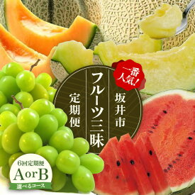 【ふるさと納税】【先行予約】【定期便 6回コース】 坂井市フルーツ三昧 ！！定期便【2026年6月上旬以降順次発送開始予定】【 フルーツ定期便 シャインマスカット メロン スイカ 食べ比べ 】