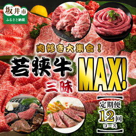 【ふるさと納税】【定期便 12回コース】 坂井市産 福井県産 肉好き大集合！若狭牛三昧MAX！！ 定期便！！ 【すき焼き しゃぶしゃぶ 1年間 】【食べ比べ 切り落とし 若狭牛 国産和牛 黒毛和牛 黒毛和種 ブランド牛 和牛 肉 牛 牛肉 ステーキ 焼肉 福井県産 国産 冷凍 人気】