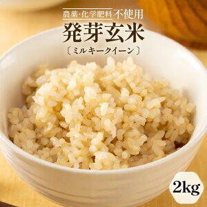 yӂ邳Ɣ[Łzys\zyߘa7NYz茺 ~L[NC[ 2kg Â݂胂``炩 _Ew엿sgp ʍ͔| y2025N9{ȍ~\zy  