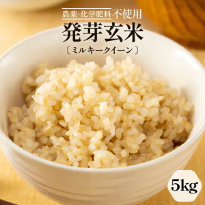 yӂ邳Ɣ[Łzys\zyߘa7NYz茺 ~L[NC[ 5kg Â݂胂``炩 _Ew엿sgp ʍ͔|āy2025N9{ȍ~\zy  