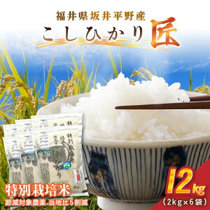 �y�ӂ邳�Ɣ[�Łz�ߘa7�N�Y ���ʍ͔|�� �R�V�q�J���� 12kg�i2kg×6�܁j�ߌ��Ώ۔_�򓖒n��5�����y�I�ׂ鐸�ĕ��@�F���� / ���āz�y�� �R�� ���� �R�V�q�J���ӂ邳�Ɣ[�ŕ� �u�����h�� ���Y�z