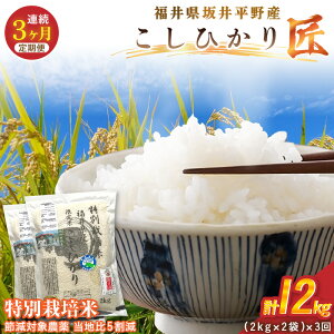 �y�ӂ邳�Ɣ[�Łz�y3�����A�����͂��z�ߘa7�N�Y ���ʍ͔|�� �R�V�q�J���� 4kg�i2kg×2�܁j×3�� �v12kg �ߌ��Ώ۔_�򓖒n��5�����y�I�ׂ鐸�ĕ��@�F���� / ���āz�y�� �R�� ���� �R�V�q�J���ӂ�