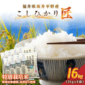【ふるさと納税】令和7年産 特別栽培米 コシヒカリ匠 16kg（2kg×8袋）節減対象農薬当地比5割減【選べる精米方法：白米 / 玄米】【米 コメ お米 コシヒカリふるさと納税米 ブランド米 国産】