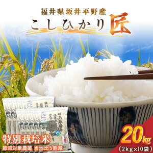 �y�ӂ邳�Ɣ[�Łz�ߘa7�N�Y ���ʍ͔|�� �R�V�q�J���� 20kg�i2kg×10�܁j�ߌ��Ώ۔_�򓖒n��5�����y�I�ׂ鐸�ĕ��@�F���� / ���āz�y�� �R�� ���� �R�V�q�J���ӂ邳�Ɣ[�ŕ� �u�����h�� ���Y�z