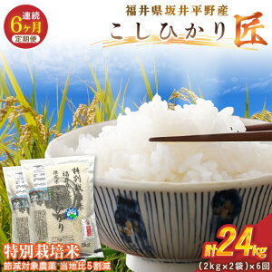 �y�ӂ邳�Ɣ[�Łz�y6�����A�����͂��z �ߘa7�N�Y ���ʍ͔|�� �R�V�q�J���� 4kg�i2kg×2�܁j×6�� �v24kg �ߌ��Ώ۔_�򓖒n��5�����y�I�ׂ鐸�ĕ��@�F���� / ���āz�y�� �R�� ���� �R�V�q�J���ӂ�