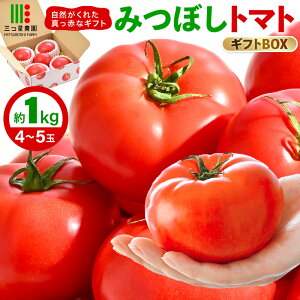 yӂ邳Ɣ[ŁzyԌz݂ڂg}gRꂽ^ԂȃMtg 1kg yƂ܂ g}g   VN Yn  Mtg Yz