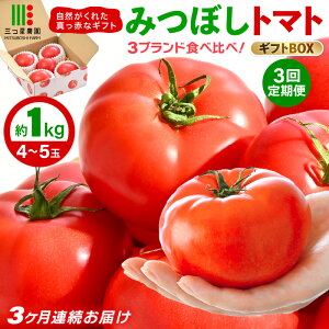 yӂ邳Ɣ[Łzys\z 3A͂ ݂ڂg}g3uhHהׁI 1kg × 3 y2026N5{ȍ~\zyƂ܂ g}g   VN Yn 