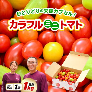 yӂ邳Ɣ[ŁzJt~jg}g5FA\[g (ԁAIWACG[AO[A`R) 1kgMtg FƂǂ̉h{JvZIyƂ܂ g}g ~jg}g   e 