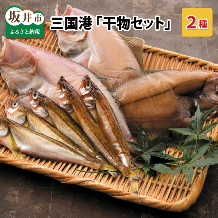楽天市場 ふるさと納税 早崎 商店 干物セット オススメ干物2種入り 三国港 福井県坂井市