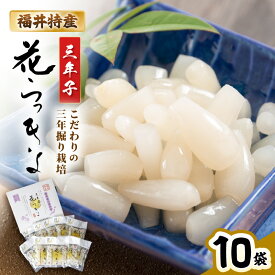 【ふるさと納税】 福井特産 三年子花らっきょギフト 甘酢漬70g×10袋 『こだわりの三年掘り栽培』 【甘酢 漬け 国産 漬け物 お漬物 ラッキョウ らっきょう】