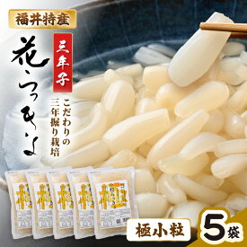 【ふるさと納税】 福井特産 三年子花らっきょ 極小粒らっきょ 200g×5袋 化学調味料不使用 『こだわりの三年掘り栽培』 希少 漬け 国産 漬け物 お漬物 ラッキョウ らっきょう