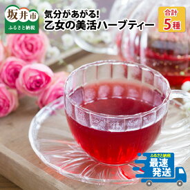 【ふるさと納税】 気分があがる! 乙女の美活ハーブティー 三国屋スタッフいちおし! 【ハーブ ティーバッグ オリジナル配合 ルイボス セット 飲み比べ 詰め合わせ プレゼント ギフト 贈答用 お中元 お歳暮】