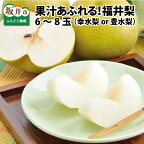 【先行予約】「福井梨」6～8玉 シャキっとした食感♪ あふれ出す果汁！【2024年8月中旬～9月下旬発送予定】【梨 なし ナシ フルーツ 甘い みずみずしい 果実 果物 新鮮 お土産 贈り物 旬の果物】