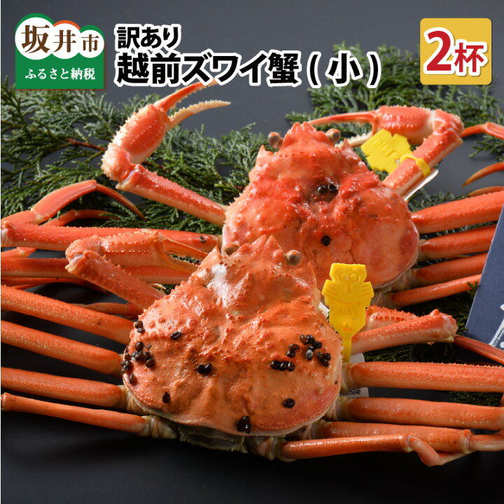 ふるさと納税】【先行予約】 訳あり≪茹で≫越前ズワイ蟹(小) 2杯 