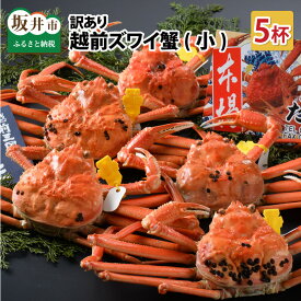 【ふるさと納税】【電話連絡で安心】【先行予約】 かに 訳あり ≪茹で≫越前ズワイ蟹(小) 5杯【2025年11月〜2026年3月発送予定】越前がに 越前ガニ ズワイガニ 国産 県産