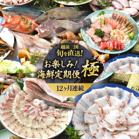 【ふるさと納税】【12ヶ月定期便】越前三国の旬を直送 「お楽しみ！ 海鮮定期便 ＜極＞