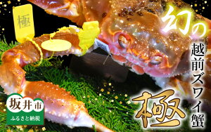 yӂ邳Ɣ[Łzys\z zOYCI wɁx 1t Ԃ1.5kgȏ s2025N112026N3 eʌt y Jj zOKj zO zOYCKj YCKj 킢 