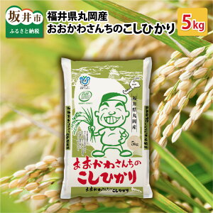 yӂ邳Ɣ[Łzyߘa7NYEVāz 킳񂿂̂Ђ 5kg yRVqJ    5L uh Yz