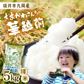 【ふるさと納税】数量限定 おおかわさんちの華越前 5kg (なくなり次第終了) 【令和7年産】【お米 こめ ハナエチゼン 5キロ 白米 精米 ご飯 ごはん 美味しい ふるさと納税米】